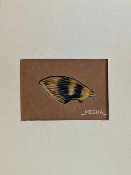 A detailed drawing of a butterfly's wing, focusing on its unique patterns and colors. This piece is a celebration of the small, intricate wonders of the natural world.