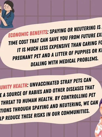 The one-time cost of spaying or neutering can save you money on future medical problems and contributes to better community health by reducing the number of unvaccinated strays.