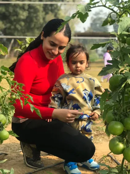 A mother and her child examine the green tomatoes growing on the vine. It's a beautiful moment of shared discovery and learning about the life cycle of plants.
