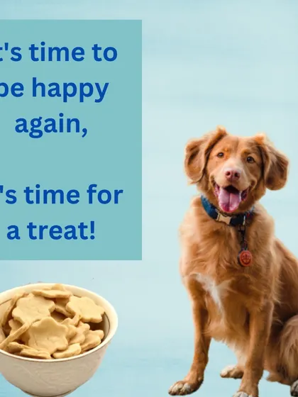 It's time to be happy again, it's time for a treat! My natural treats are full of nutrition and made without preservatives, salt, or sugar, so you can reward your dog guilt-free.