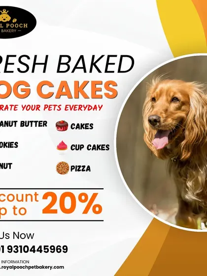 Celebrate your pet every day with my fresh-baked dog cakes and treats. I often run discounts to make it even easier to spoil your furry friend.