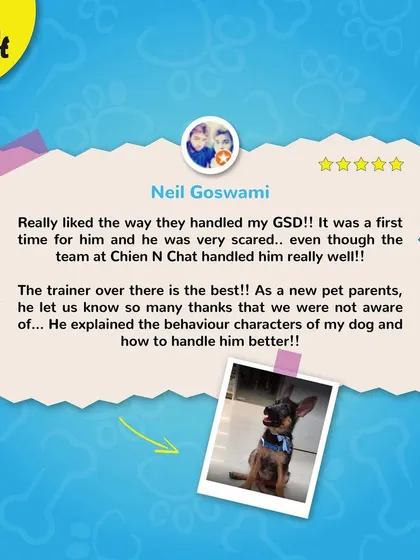 Neil was impressed with how our team handled his scared German Shepherd during his first grooming session. We are trained to help new pet parents understand their dog's behavior.