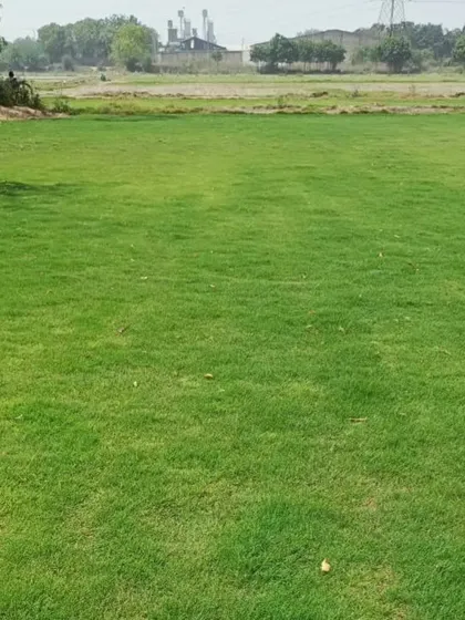 A wide shot of our wholesale grass turf field, ready for Pan-India delivery.