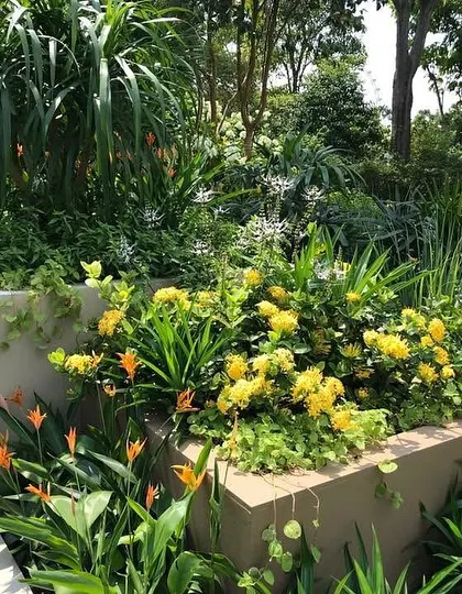A lush, multi-layered garden bed I designed. It features a mix of textures and colors, from the bright yellow flowers in the foreground to the tall, spiky palms in the back, creating a dense, tropical feel.