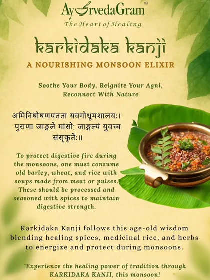 This graphic explains the ancient wisdom behind Karkidaka Kanji, a medicated rice porridge designed to protect digestive fire and energize the body during the monsoon season.