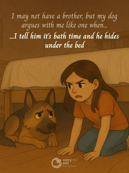 My dog argues with me like a brother. The debate over bath time is a classic, and he always finds the best hiding spot under the bed.