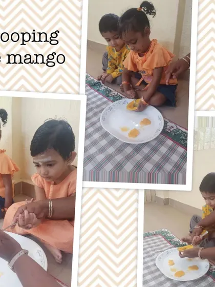 A collage of moments from our mango-themed cooking sessions, where children learned to peel, slice, and prepare delicious mango treats like milkshakes and cheesecake.