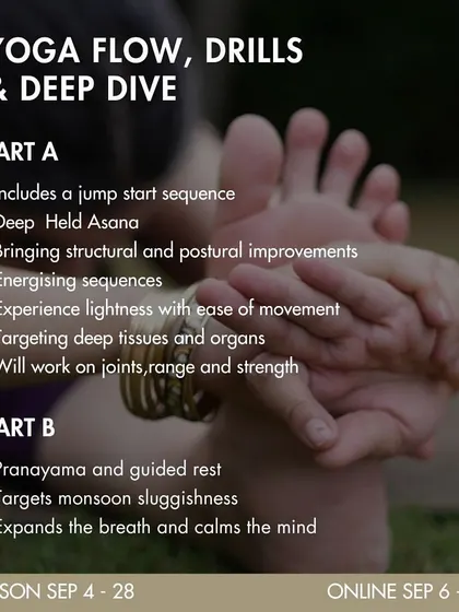 A graphic detailing the "Yoga Flow, Drills & Deep Dive" session. This is an example of the structured, theme-based content I provide in my collaborations and classes.