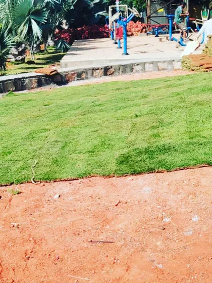 A park area being prepared for a new lawn, with rolls of grass ready for installation next to the red soil base.