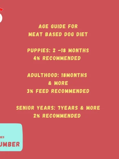 Our age guide recommends feeding percentages for different life stages: 4% for puppies, 3% for adults, and 2% for seniors.