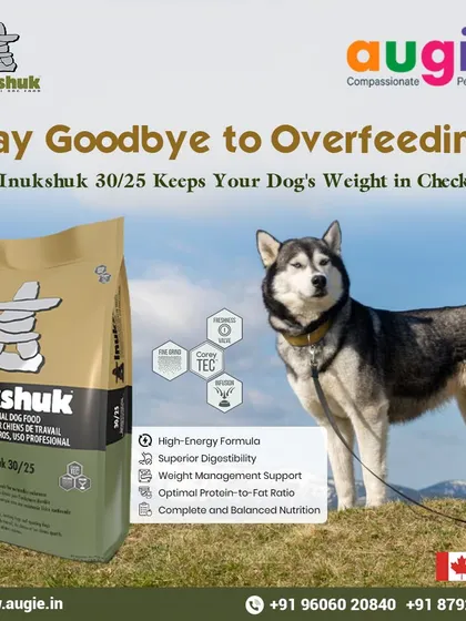 For active and working dogs, it's important to avoid overfeeding while still providing enough energy. Inukshuk 30/25 is a high-energy formula with superior digestibility that helps manage weight effectively.