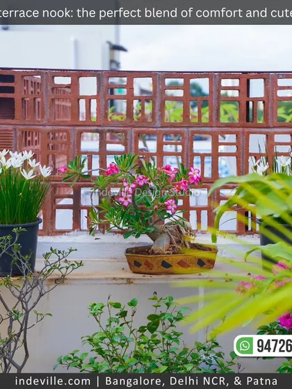 A variety of flowering plants, including desert rose, blooming on a terrace. I carefully select plants that thrive in the local climate and add color and life to the space.