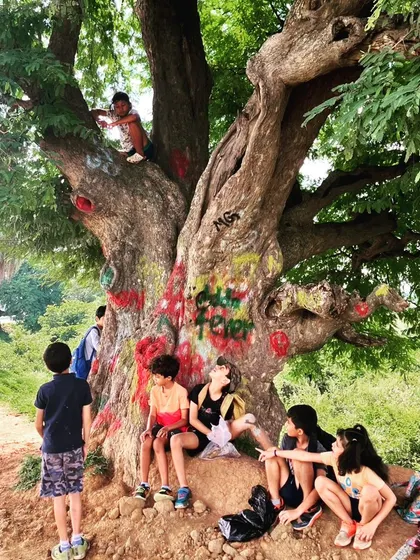 Taking a break under a large tamarind tree after a morning of harvesting clay. These moments of rest and camaraderie are as important as the work itself.