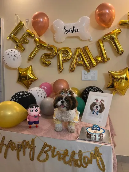Sushi looking like a little princess in her birthday dress. Our cakes are the perfect centerpiece for even the most stylish and elaborate dog birthday parties.