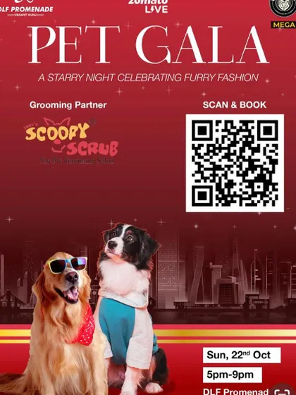 An invitation to the Pet Gala at DLF Promenade, a starry night celebrating furry fashion. As the grooming partner, we were there to make sure every pet was red-carpet ready.