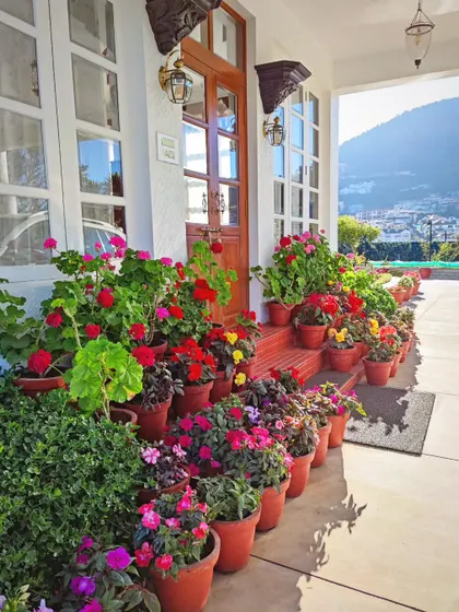A vibrant collection of potted flowers, including geraniums and impatiens, creating a colorful and welcoming entrance to a home.