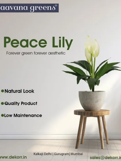 Bring home serenity with our artificial Peace Lily. It's forever green and forever aesthetic, offering a natural look with premium quality and no maintenance.