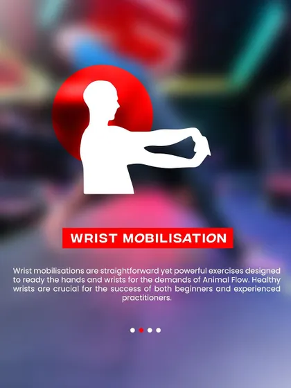 Healthy wrists are crucial for Animal Flow. Our foundation course starts with wrist mobilisation exercises, powerful movements that prepare your hands and wrists for the demands of the practice.