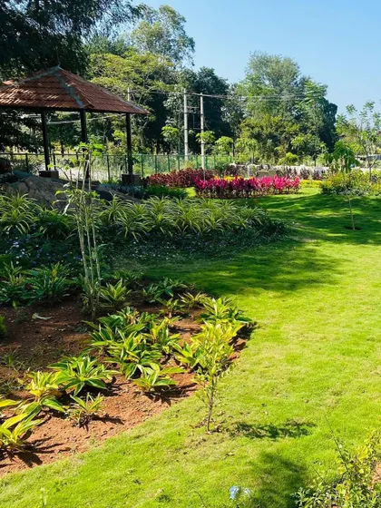 A wide view of a park we designed, showing the gentle slopes of the lawn and the variety of plants used. We aim to create landscapes that feel natural and are enjoyable to walk through.