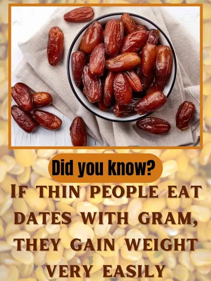 A quick tip for weight gain: eating dates with gram can help thin people gain weight more easily.