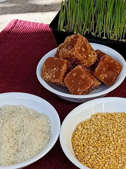 The raw ingredients for Pongal: rice, lentils, and jaggery, displayed with freshly sprouted grains.