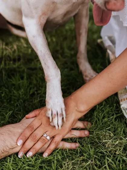 A close-up shot that says it all: two hands and a paw, united. This detail shot is a beautiful symbol of their little family.