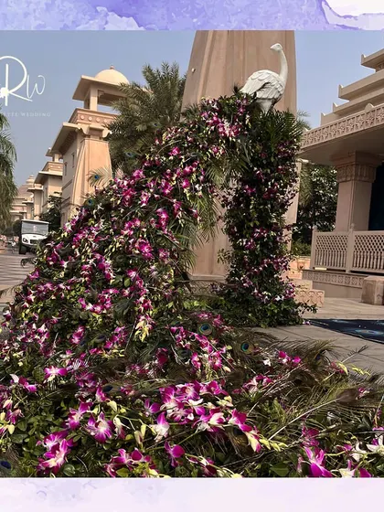 A majestic peacock installation for a welcome lunch. The peacock's tail is a cascading arrangement of purple orchids and green foliage, creating a stunning and unique entrance piece.