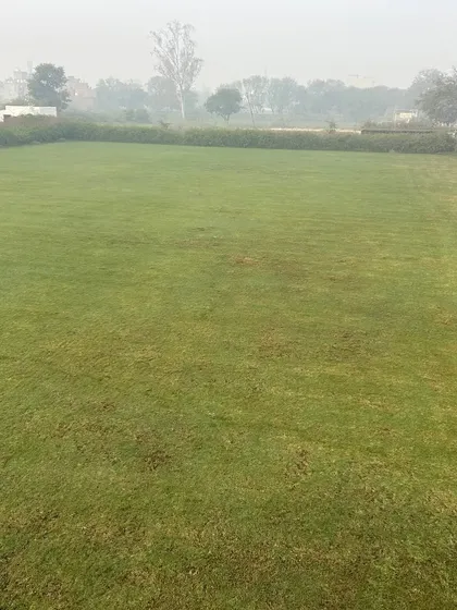 A wide, foggy morning view of one of my grass fields in New Delhi. This is the fresh, natural environment where I grow my turf.