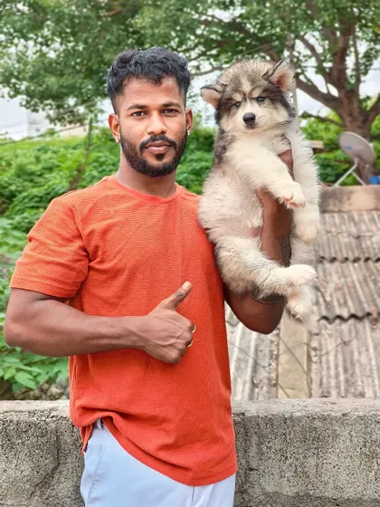 Me holding a male pup with an xx wolly coat combination. You can see how dense and fluffy his coat is, a sign of top quality.