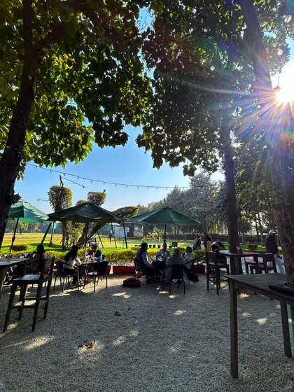 The sun shines through the trees onto our cafe patio, creating a beautiful, dappled light for our guests to enjoy.