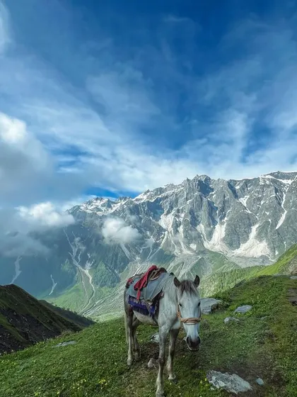A mountain horse grazes peacefully on the lush meadows of the Beas Kund trail, with snow-capped peaks providing a stunning backdrop.