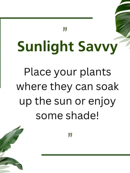 A helpful garden care tip about the importance of understanding your plants' sunlight needs for them to thrive.