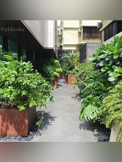 Another view of the Corten steel planters, showing how they can be used to create corridors of green that guide you through the landscape and add structure to the garden design.