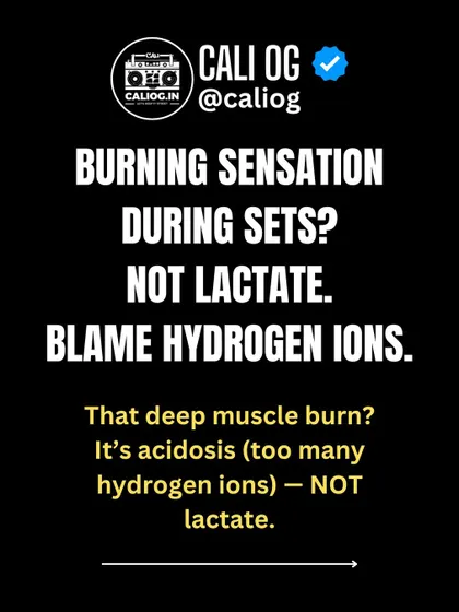 That burning sensation during a tough set? It's not lactate. Blame hydrogen ions. The deep muscle burn is from acidosis, not lactate.
