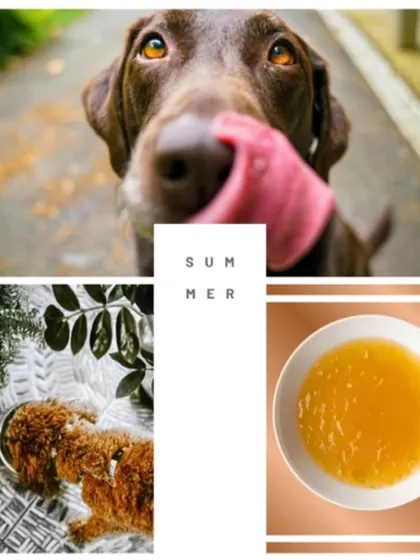 Beat the summer heat with our freshly brewed bone broth. Prepared on order, it's a simple and healthy way to keep your pet hydrated and happy.