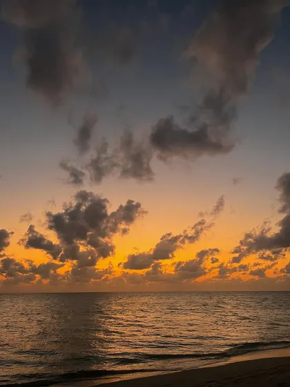 More glimpses from our unforgettable Lakshadweep retreats. Every moment is a postcard, from sunrise dives and full moon dinners to candid conversations and quiet naps on the beach.