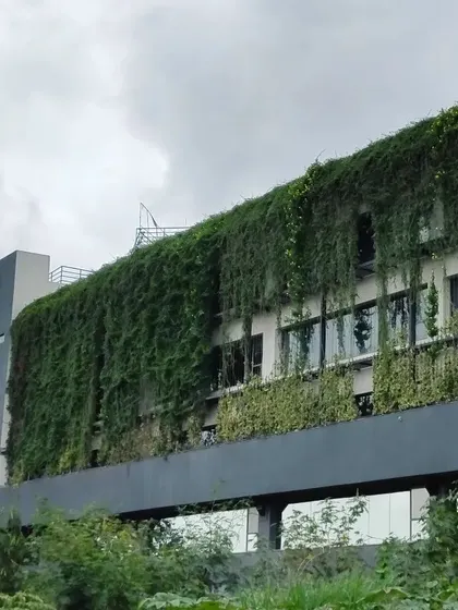 A side view of the Tech 37 building, highlighting how the green curtain drapes over the structure. This demonstrates a fusion of landscape and industrial design.