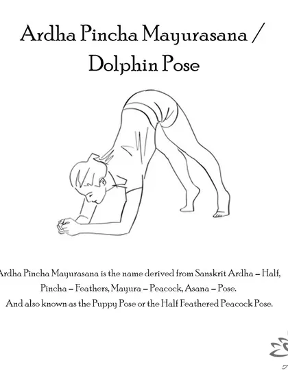 Ardha Pincha Mayurasana (Dolphin Pose) builds strength in the upper body, encourages spinal alignment, and improves blood flow to the brain.