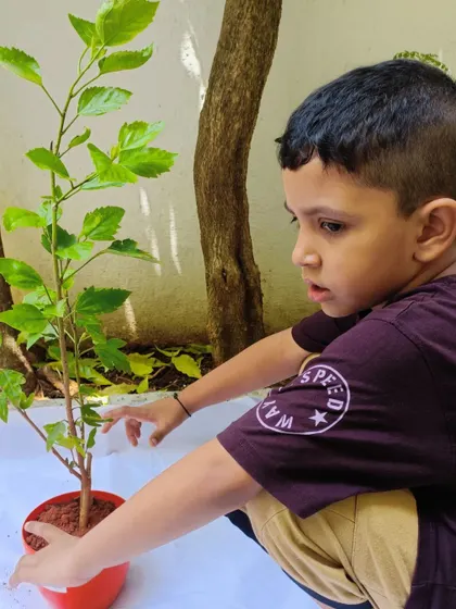 A young boy gently tends to a plant on Environment Day. We believe in nurturing a connection with the natural world from a young age.