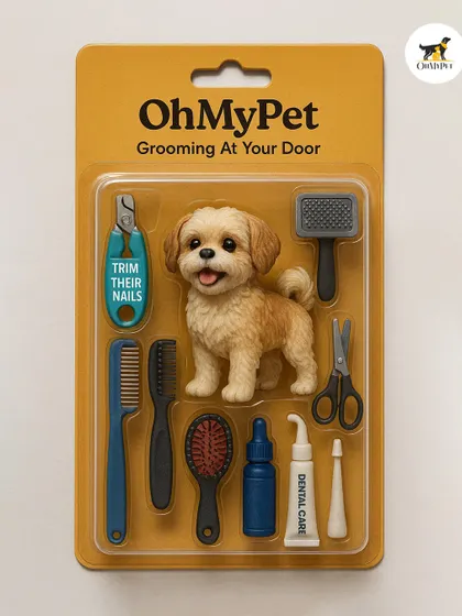 I bring the entire spa to you. My mobile grooming kit is packed with professional tools for every need, including nail clippers, various brushes, scissors, and dental care products, all designed to be safe and effective for your pet.