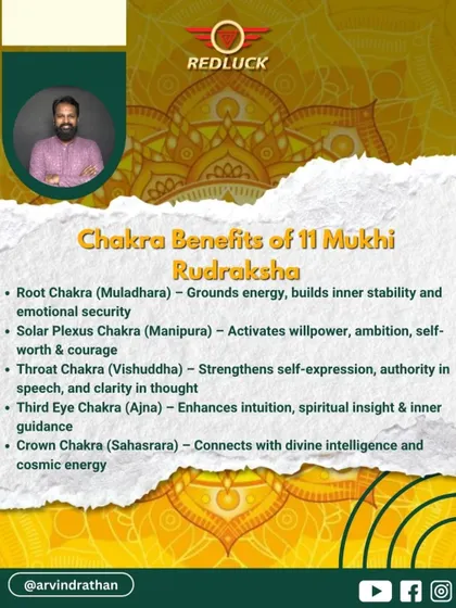 The 11 Mukhi Rudraksha provides a full-spectrum chakra activation. It grounds the Root Chakra, activates willpower at the Solar Plexus, strengthens expression at the Throat, enhances intuition at the Third Eye, and connects you to divine intelligence at the Crown.