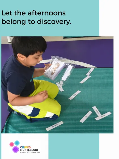Let the afternoons belong to discovery. This child is deeply focused on a botany card activity, making the most of his learning time.