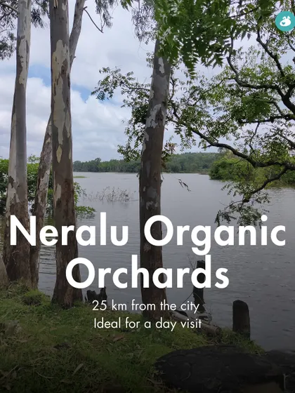 Neralu Organic Orchards, just 25 km from the city, is a peaceful orchard perfect for a quick day visit.