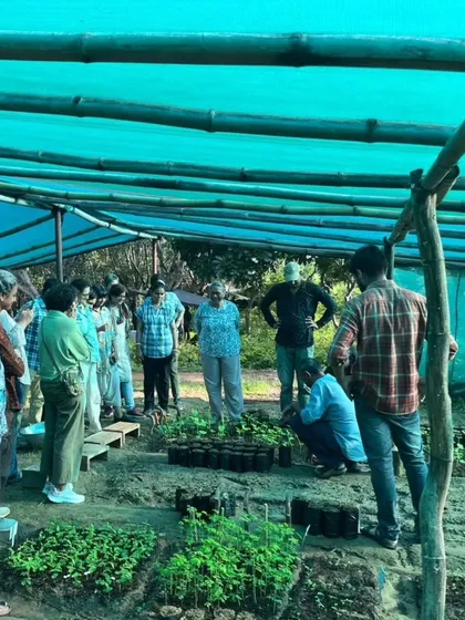 Our team demonstrates transplantation techniques to an engaged group of workshop participants at Aranya Native Nursery.