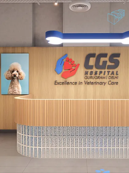 The reception for CGS Hospital, a high-end veterinary care and grooming space. The design uses warm wood tones, playful colors, and a curved desk to create a welcoming and calming environment for pets and their parents.