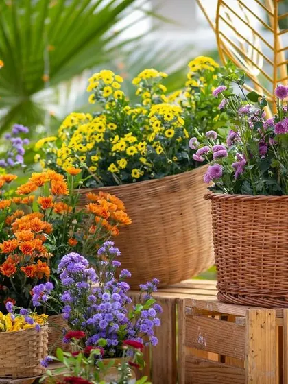 A close-up of the welcome decor, with colorful chrysanthemums spilling out of rustic wicker baskets.