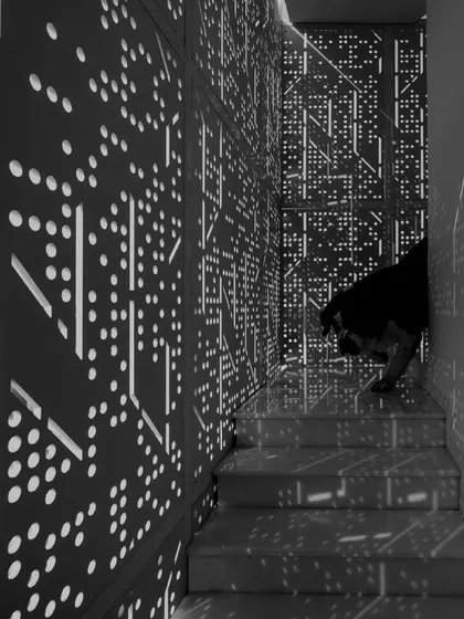 A close-up of the perforated screen at the House Above The Tree, with a furry friend peeking through. The intricate pattern creates a beautiful, diffused light quality, turning a simple stairwell into a magical space.