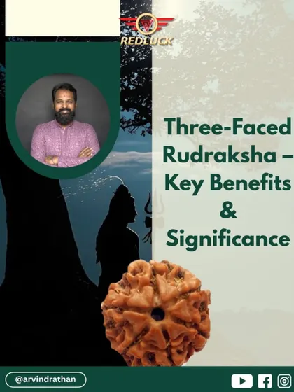 This is the Three-Faced Rudraksha, a bead that holds the key to removing sins and boosting inner power. This introductory image explains its primary significance and benefits for health, education, and spiritual purification.