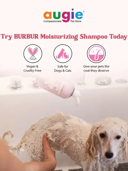 Give your pet the bath they deserve with BURBUR Moisturizing Shampoo. It's vegan, cruelty-free, and safe for both dogs and cats. The formula is designed to give your pet's coat a healthy, hydrated glow.