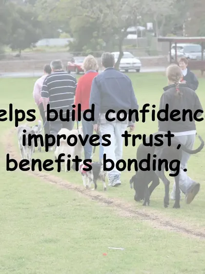 The work we do in group classes goes a long way in building your dog's confidence and strengthening the trust between you. This improved bonding is one of the most rewarding parts of the training journey.